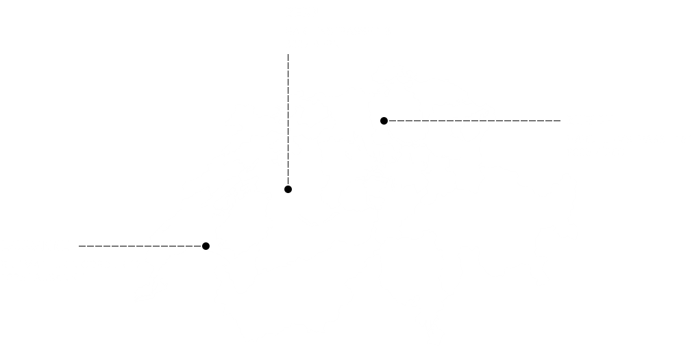 grafik_kontakt_standorte_karte_schweiz